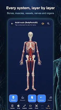 Ana3D: 3D Human Anatomy screenshot 1