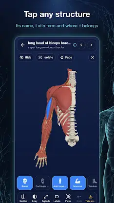 Ana3D: 3D Human Anatomy screenshot 5