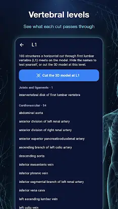Ana3D: 3D Human Anatomy screenshot 7