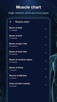 Ana3D: 3D Human Anatomy screenshot 8