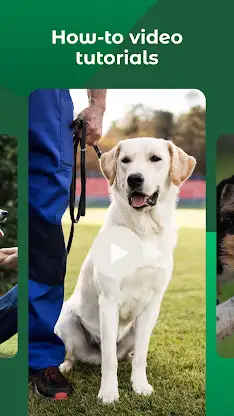 Dogo — Puppy and Dog Training screenshot 6