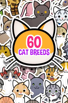 My Cat Album - Adorable Kitty  screenshot 4