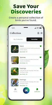 ChirpFind: Bird Sounds screenshot 5