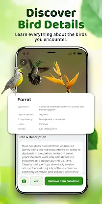ChirpFind: Bird Sounds screenshot 3