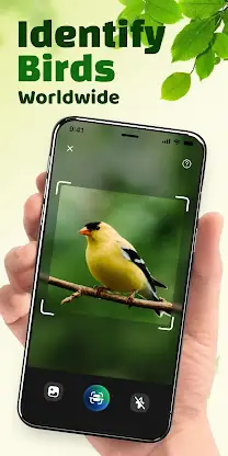 ChirpFind: Bird Sounds screenshot 1