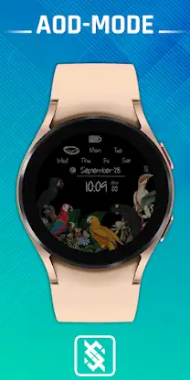 BFF137- Blackboard Art Birds screenshot 2
