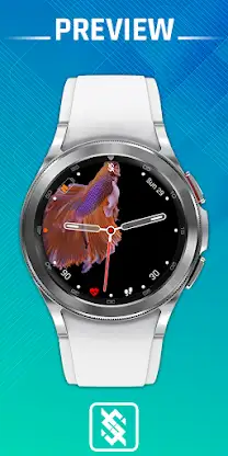 BFF24 - Animation Siames Fish screenshot 1