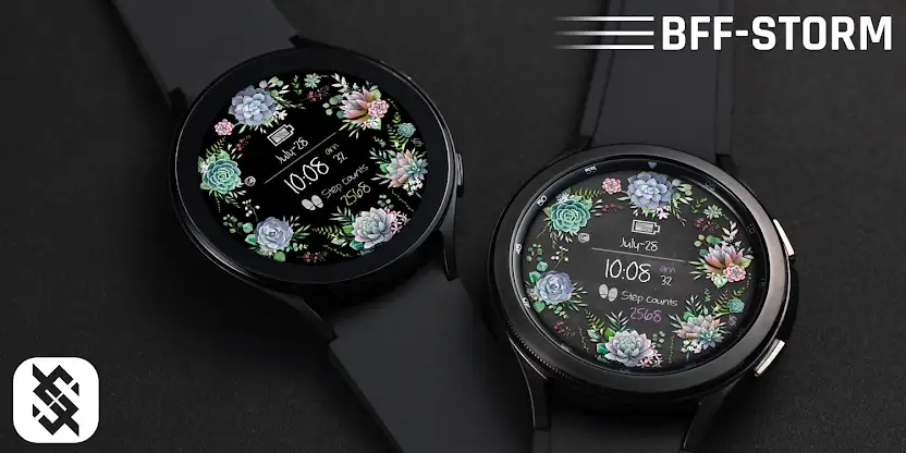 BFF71-Blackboard Art Succulent screenshot 6