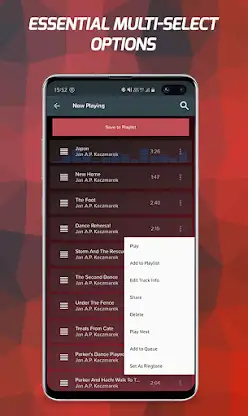 Pi Music Player: Offline Music screenshot 5