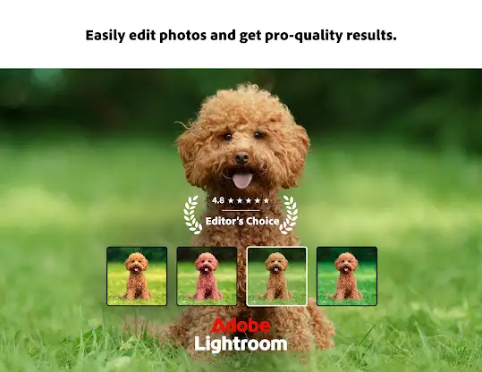 Lightroom Photo Editor & Video screenshot 1