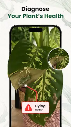AI Plant Identifier & Care screenshot 5