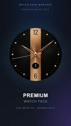 Bronze Meridian Watch Face screenshot 4