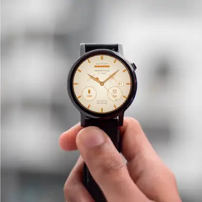 Classic Perpetual Watch Face screenshot 4
