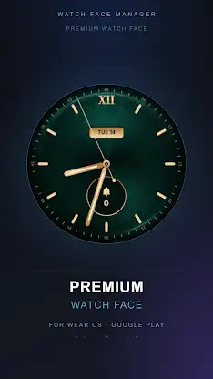 Emerald Regent Watch Face screenshot 4