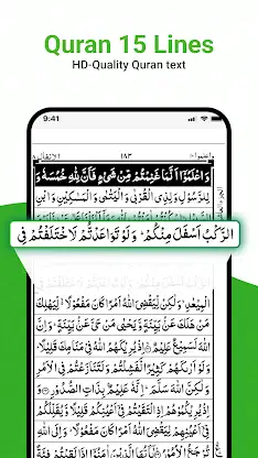 Al Quran: Holy Quran Offline screenshot 1