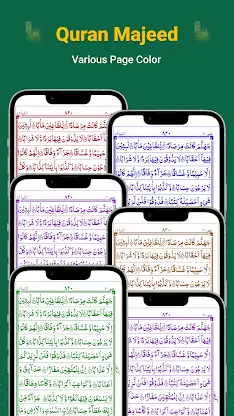 Al Quran Offline: Quran Majeed screenshot 4