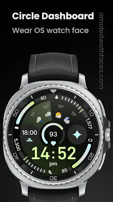 Circle Dashboard Watch Face screenshot 1