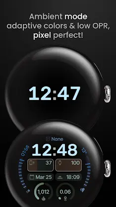 Expedition Watch Face screenshot 4