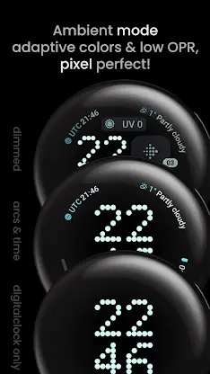 Pioneer Watch Face screenshot 4