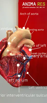INSIGHT HEART Enterprise screenshot 8