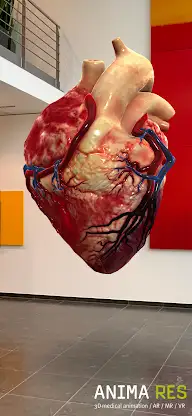 INSIGHT HEART Enterprise screenshot 4