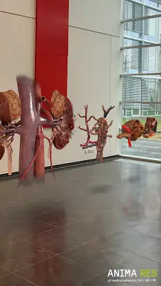 INSIGHT KIDNEY Enterprise screenshot 4