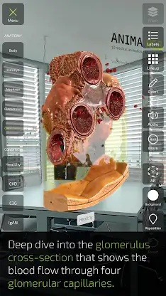 INSIGHT KIDNEY screenshot 6