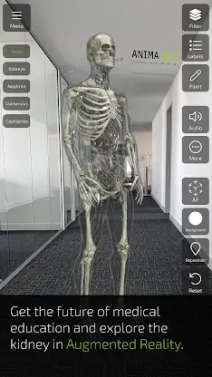 INSIGHT KIDNEY screenshot 2