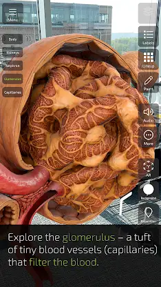 INSIGHT KIDNEY screenshot 5