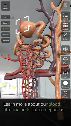 INSIGHT KIDNEY screenshot 4