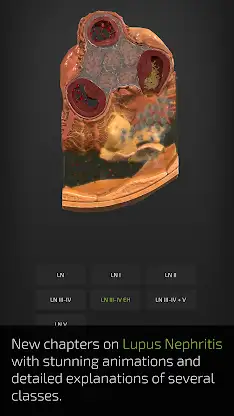 INSIGHT KIDNEY screenshot 8