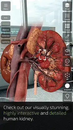 INSIGHT KIDNEY screenshot 3
