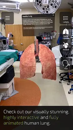 INSIGHT LUNG screenshot 3