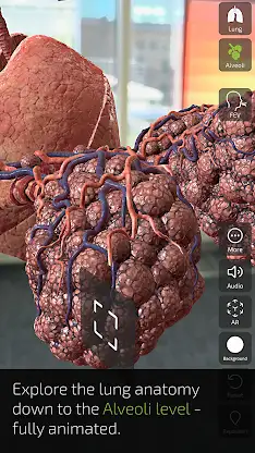 INSIGHT LUNG screenshot 4