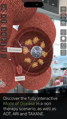 INSIGHT PROSTATE screenshot 8