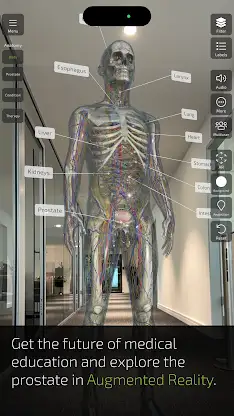 INSIGHT PROSTATE screenshot 2