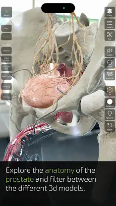 INSIGHT PROSTATE screenshot 4
