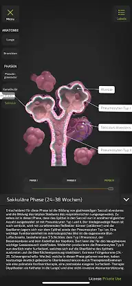INSIGHT NEOLUNG screenshot 7