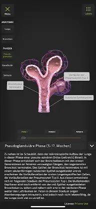 INSIGHT NEOLUNG screenshot 5