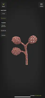 INSIGHT NEOLUNG screenshot 4