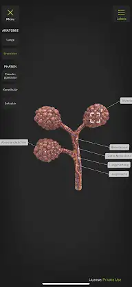 INSIGHT NEOLUNG screenshot 3