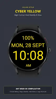 CareStream Minimal Watch Face screenshot 3