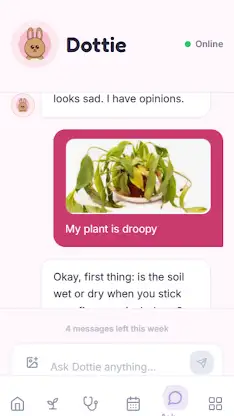 Dottie's Garden screenshot 2