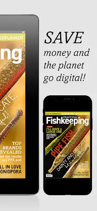 Practical Fishkeeping Magazine screenshot 6