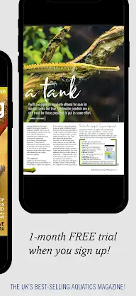 Practical Fishkeeping Magazine screenshot 2