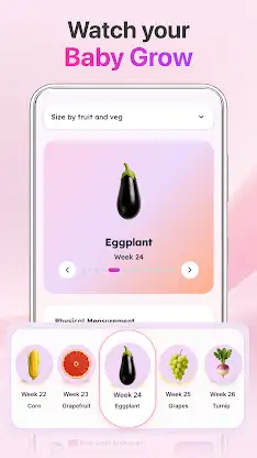 Acompanhar Gravidez e Bebê screenshot 2