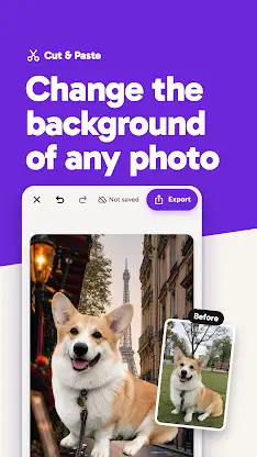 Cut & Paste Photos screenshot 3