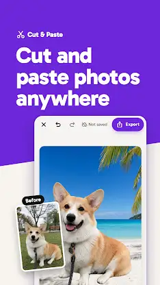 Cut & Paste Photos screenshot 1