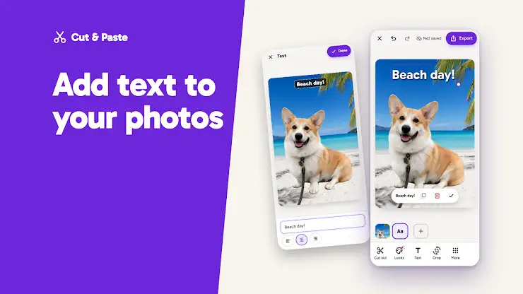 Cut & Paste Photos screenshot 7
