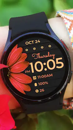 Daisy Vibrant Bloom screenshot 2